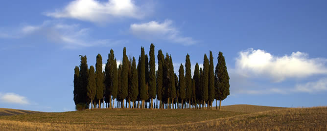 foto-campagna-toscana